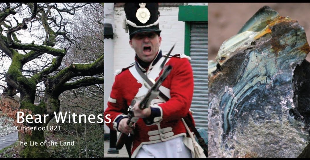 Bear Witness film title screenshot